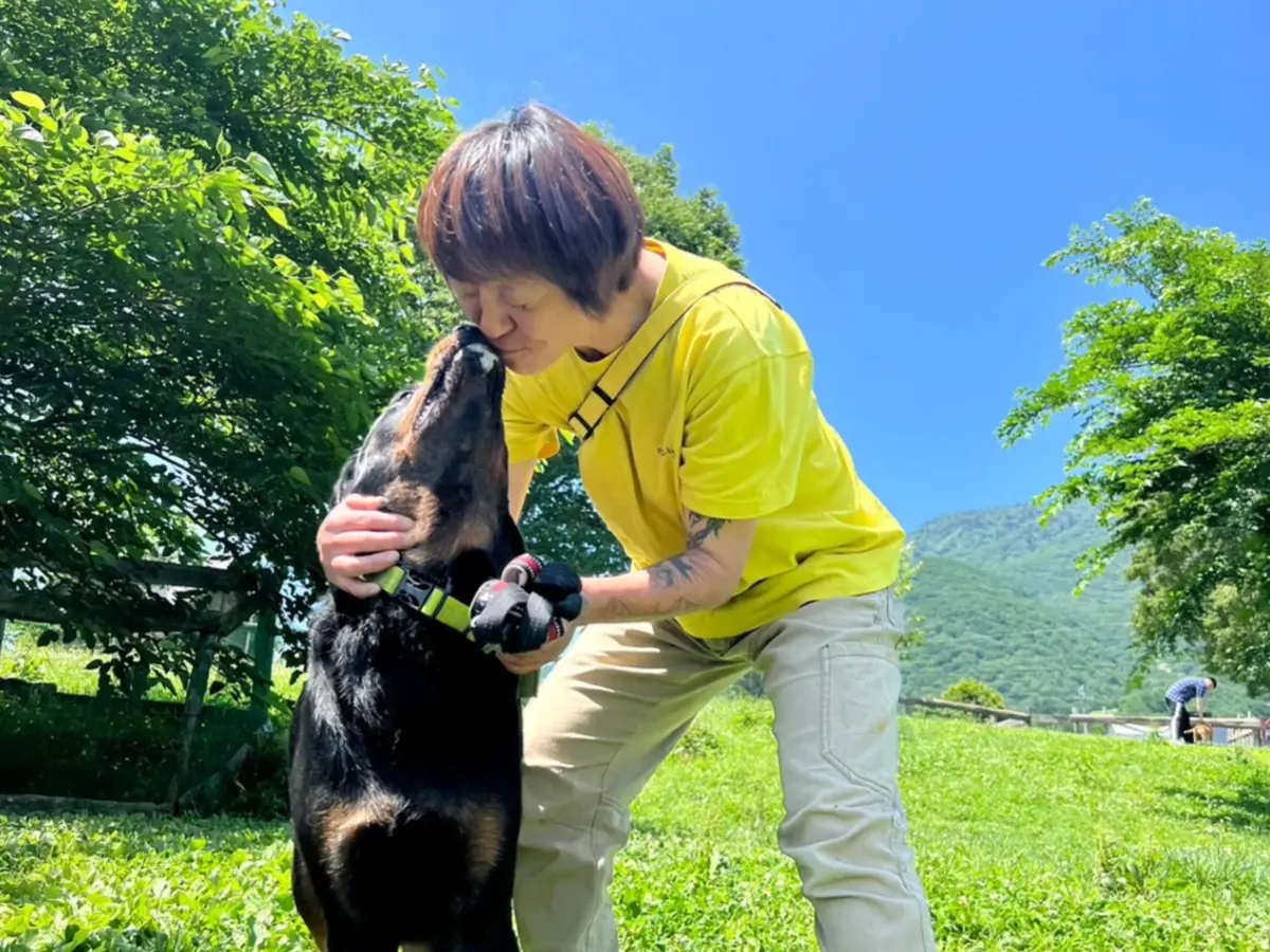 Lihimaya dog & cat photo 1