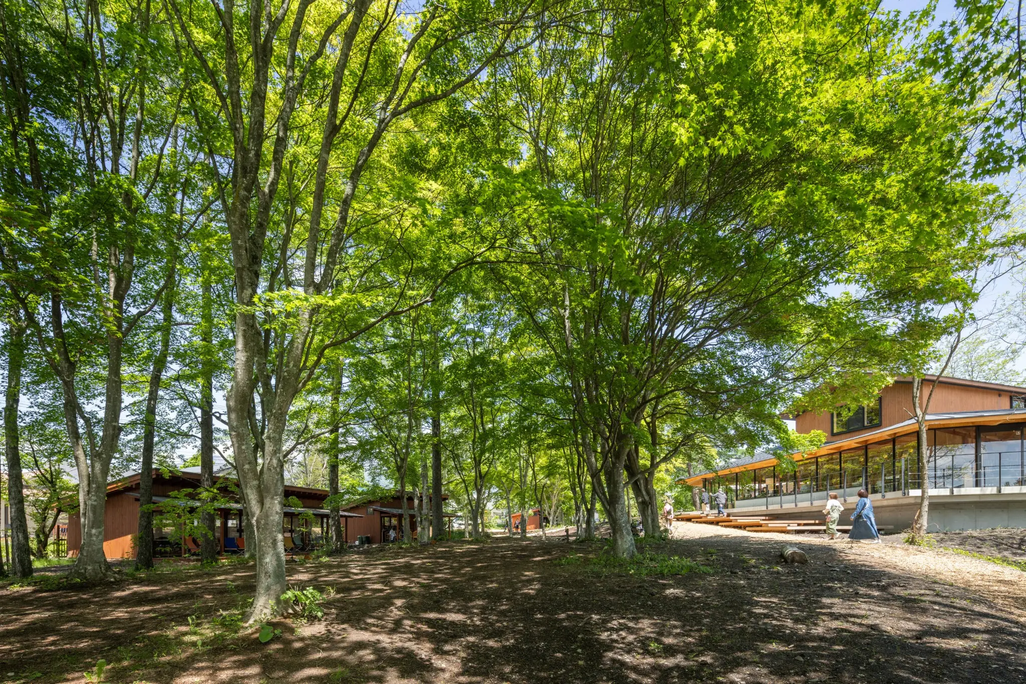 緑豊かなKaruizawa Commongroundsの森