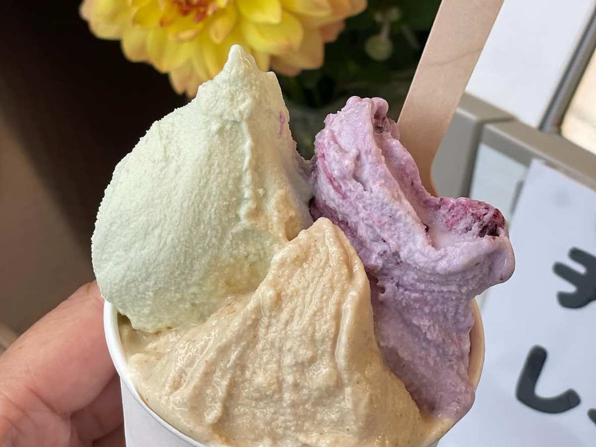 ASAMA GELATO 素材を生かした3種類のジェラート