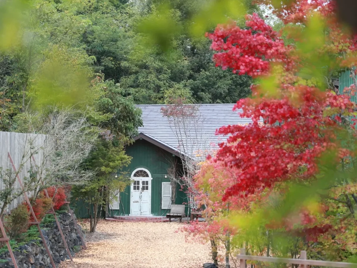 The Barn photo 1