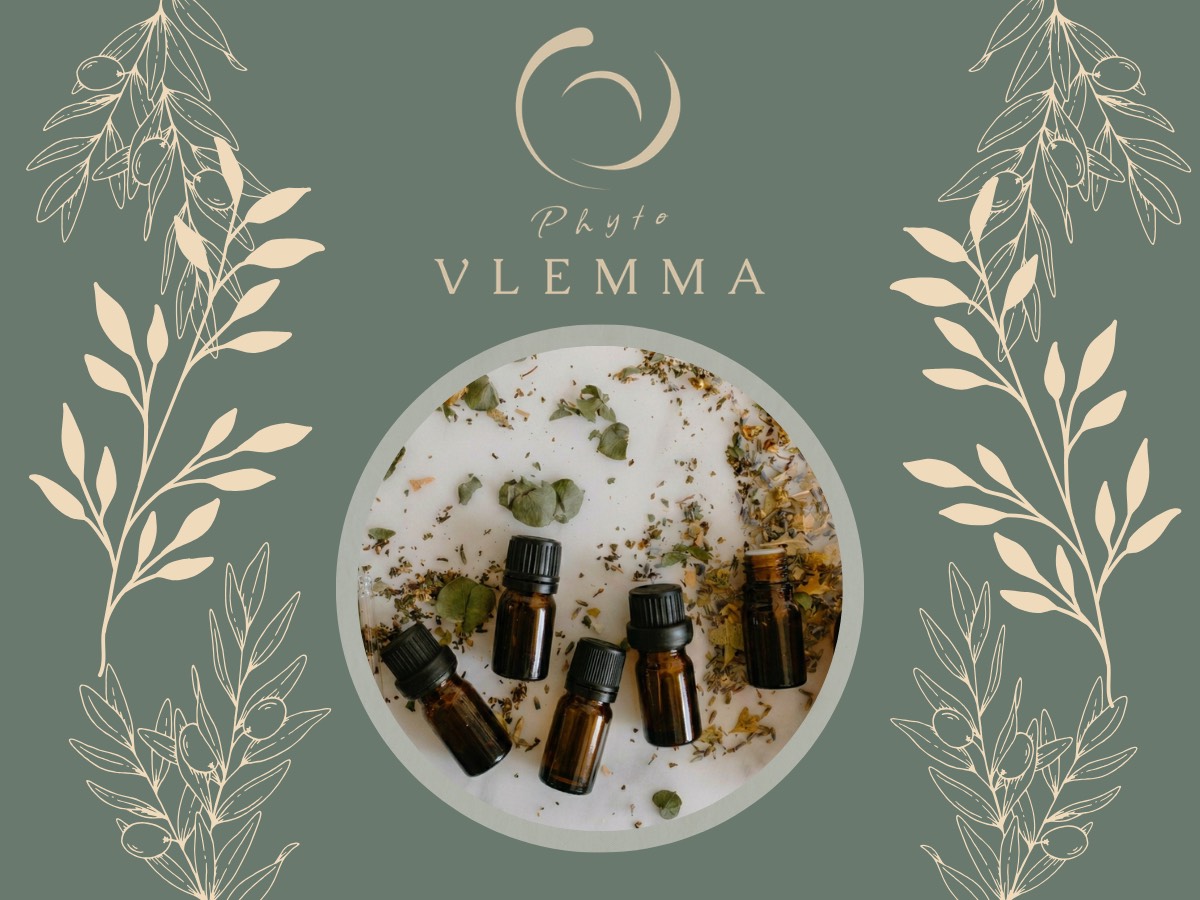phyto VLEMMA ブランドビジュアル